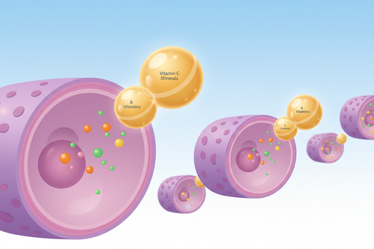 Liposomal B-Complex for Brain Health, Memory & Energy