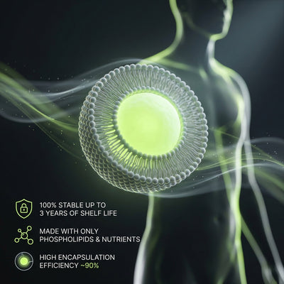 LIQUID LIPOSOMES B VITAMINS