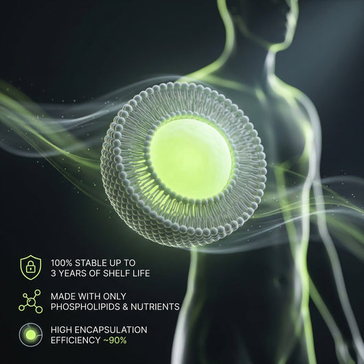 LIQUID LIPOSOMES B VITAMINS